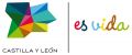 JUNTA DE CASTILLA Y LEON