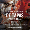 De Tapas por Soria